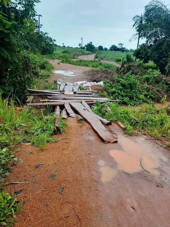 Photo Credits: Adeniran Babatunde Oluremi